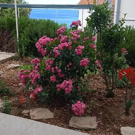Διαμέρισμα Ante